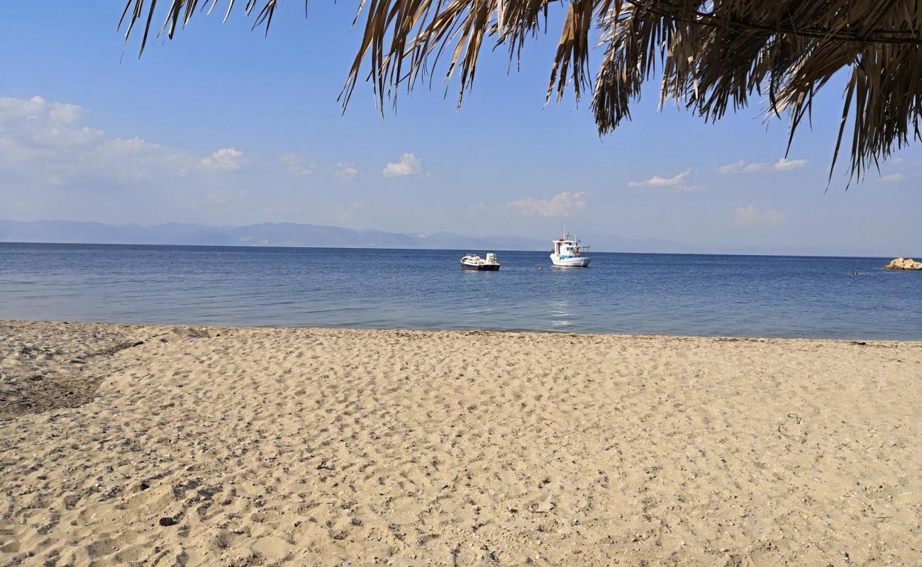 Photo de Revive beach avec sable lumineux de surface