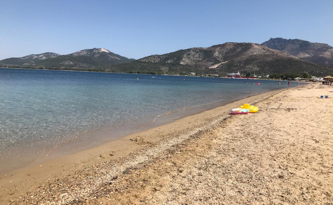 Photo de Aphrodite beach avec sable lumineux de surface