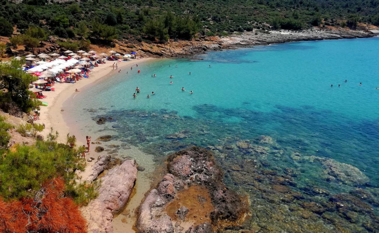 Photo de Plage de Notos avec sable lumineux de surface