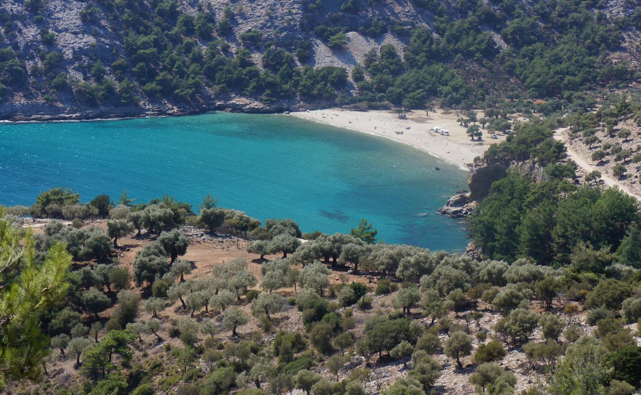 Photo de Livadi beach avec caillou clair de surface