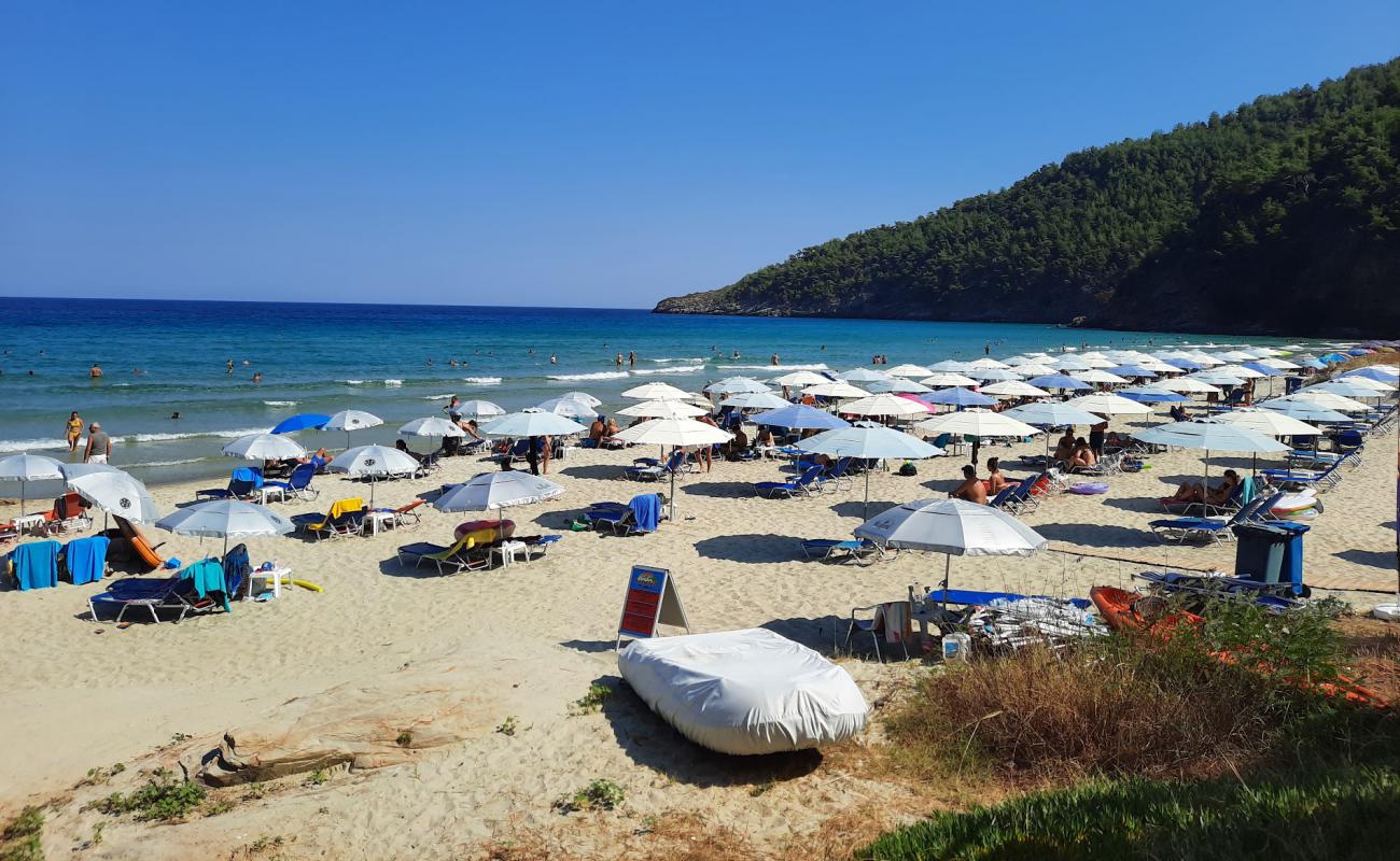 Photo de Paradise beach avec sable fin blanc de surface