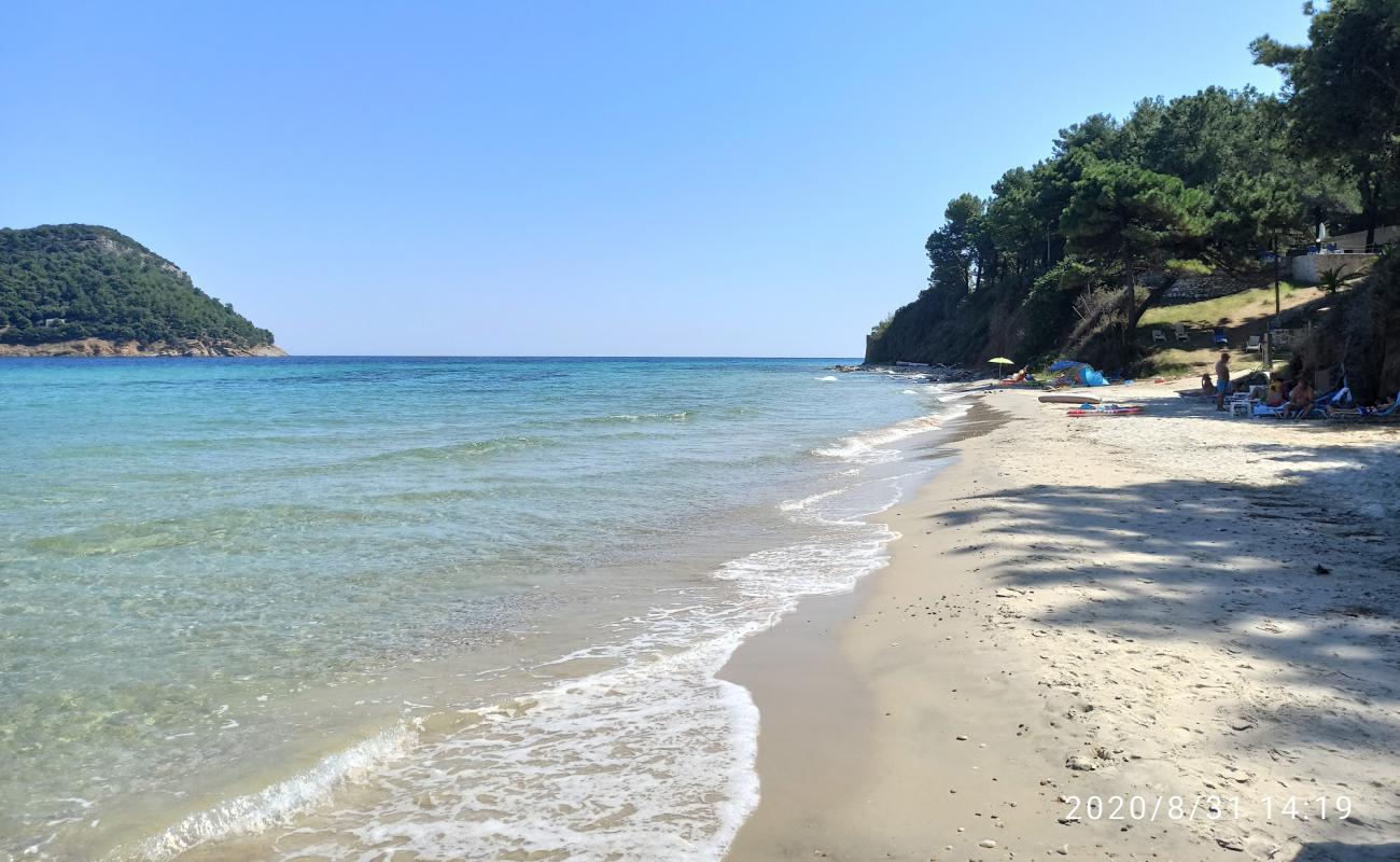 Photo de Dolphins beach avec sable clair avec caillou de surface