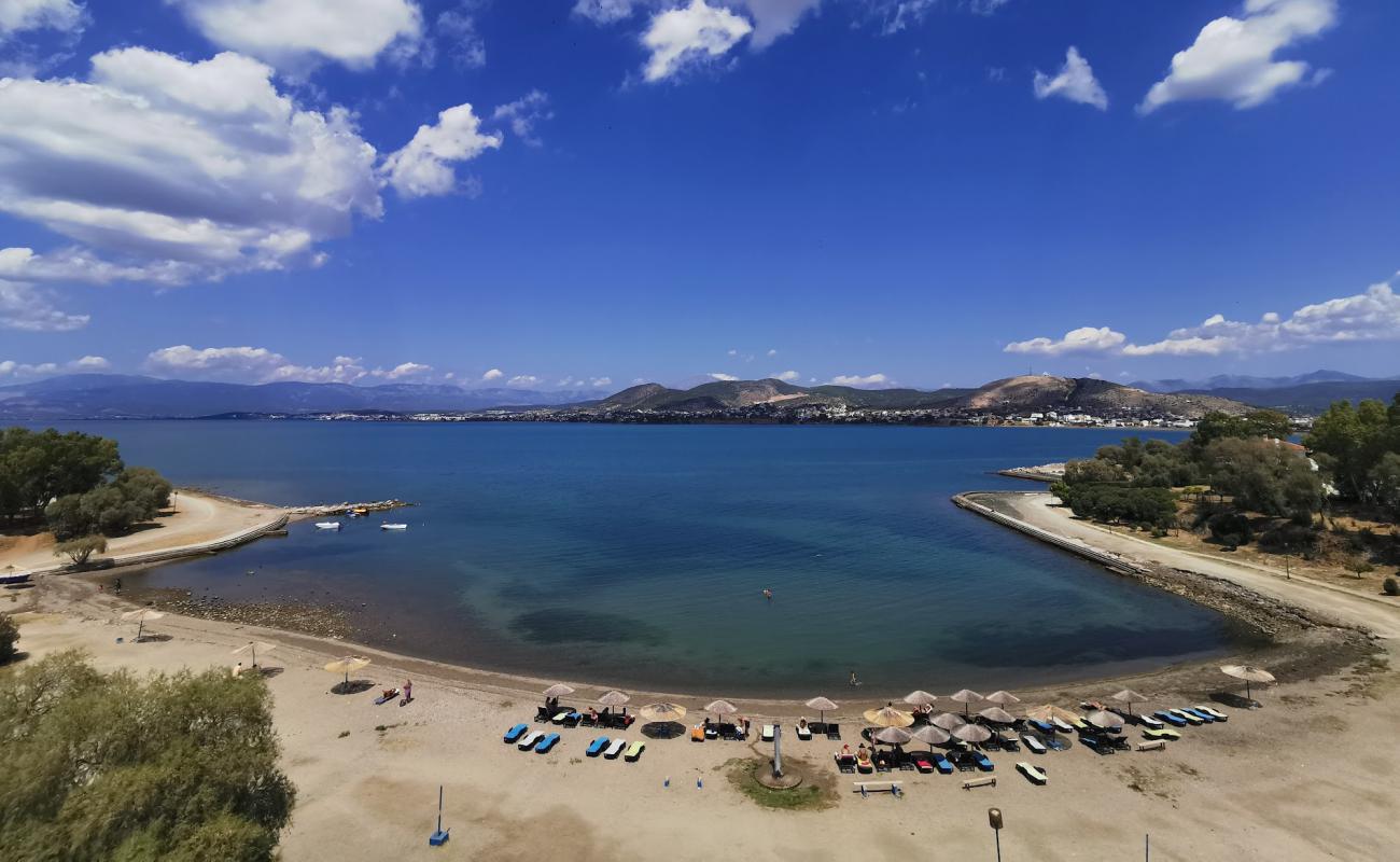 Photo de Crystal beach avec caillou fin gris de surface