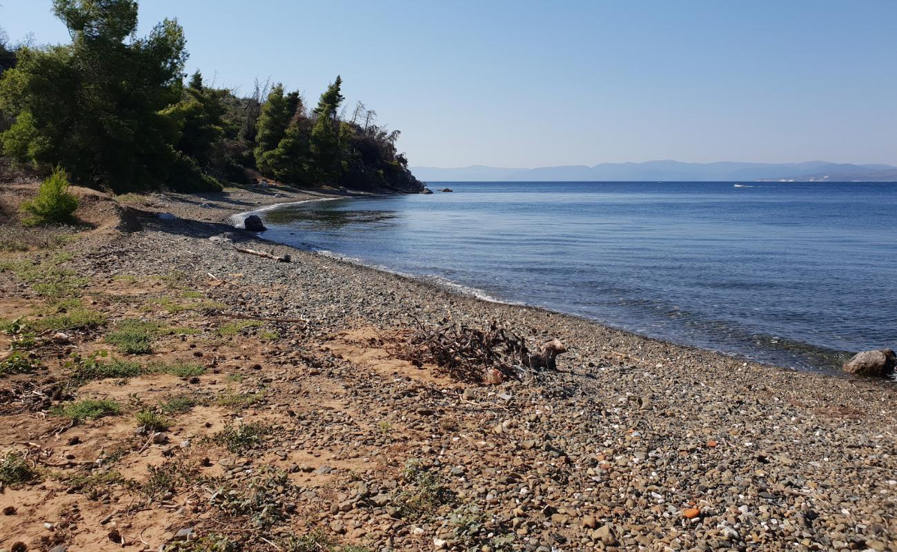 Photo de Galataki beach avec caillou fin brun de surface