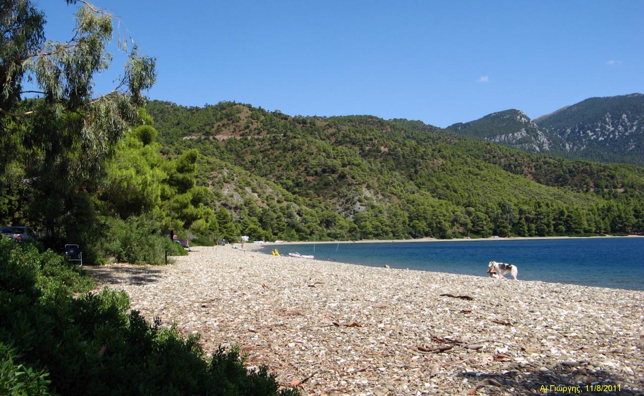 Photo de Saint George beach avec caillou fin brun de surface