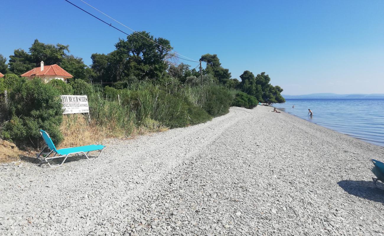 Photo de Sungate beach avec caillou clair de surface