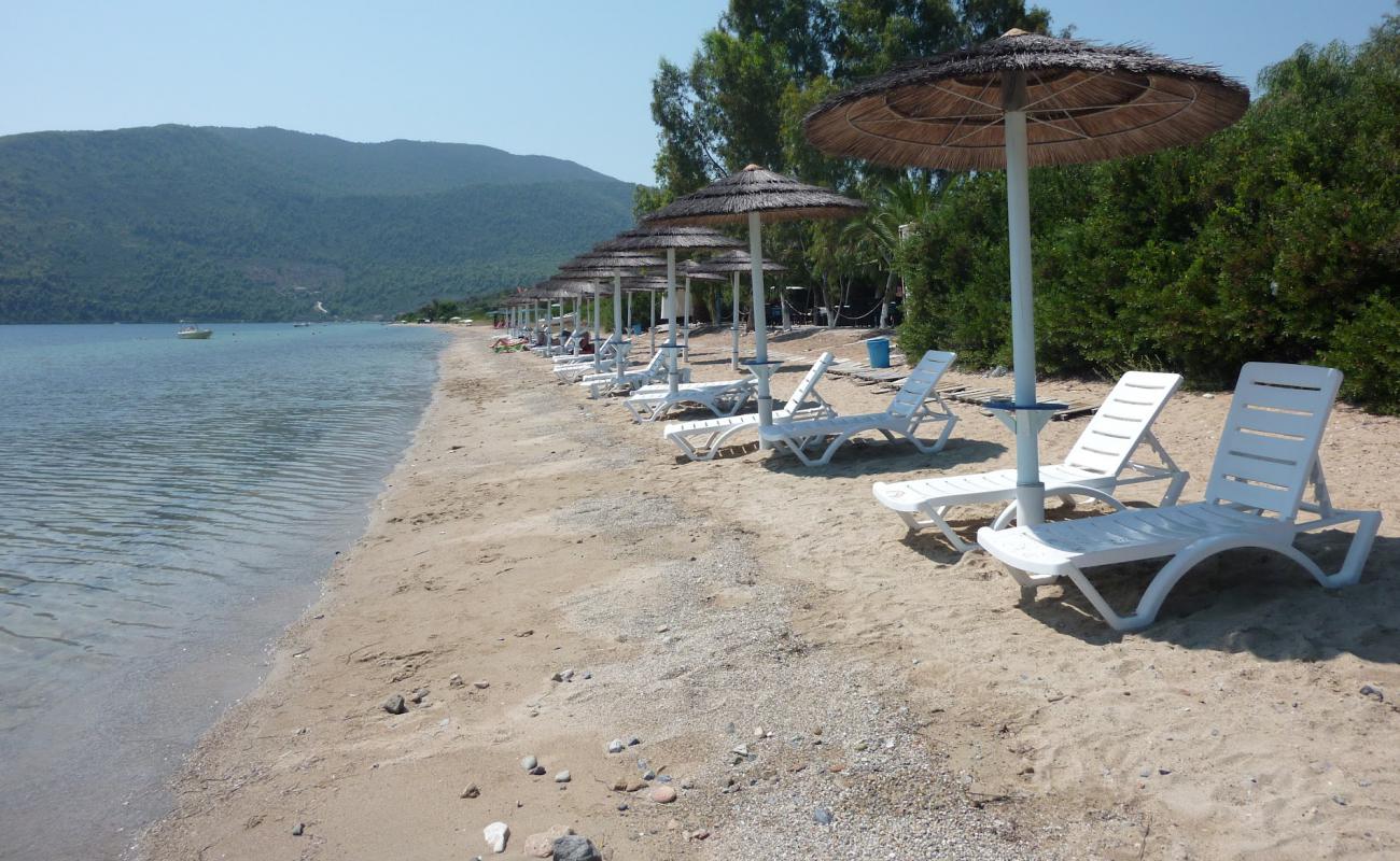 Photo de Rododafni beach avec sable brun avec roches de surface