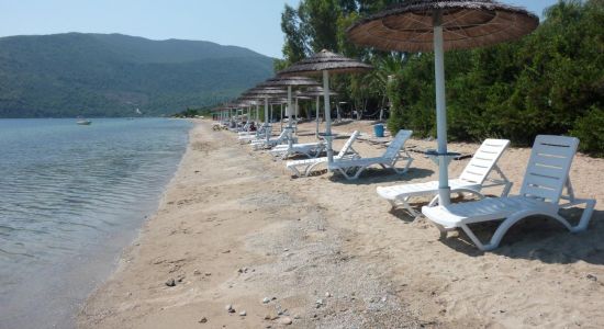 Rododafni beach