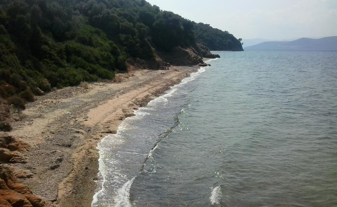 Photo de Agiokampos 2 beach avec sable lumineux de surface