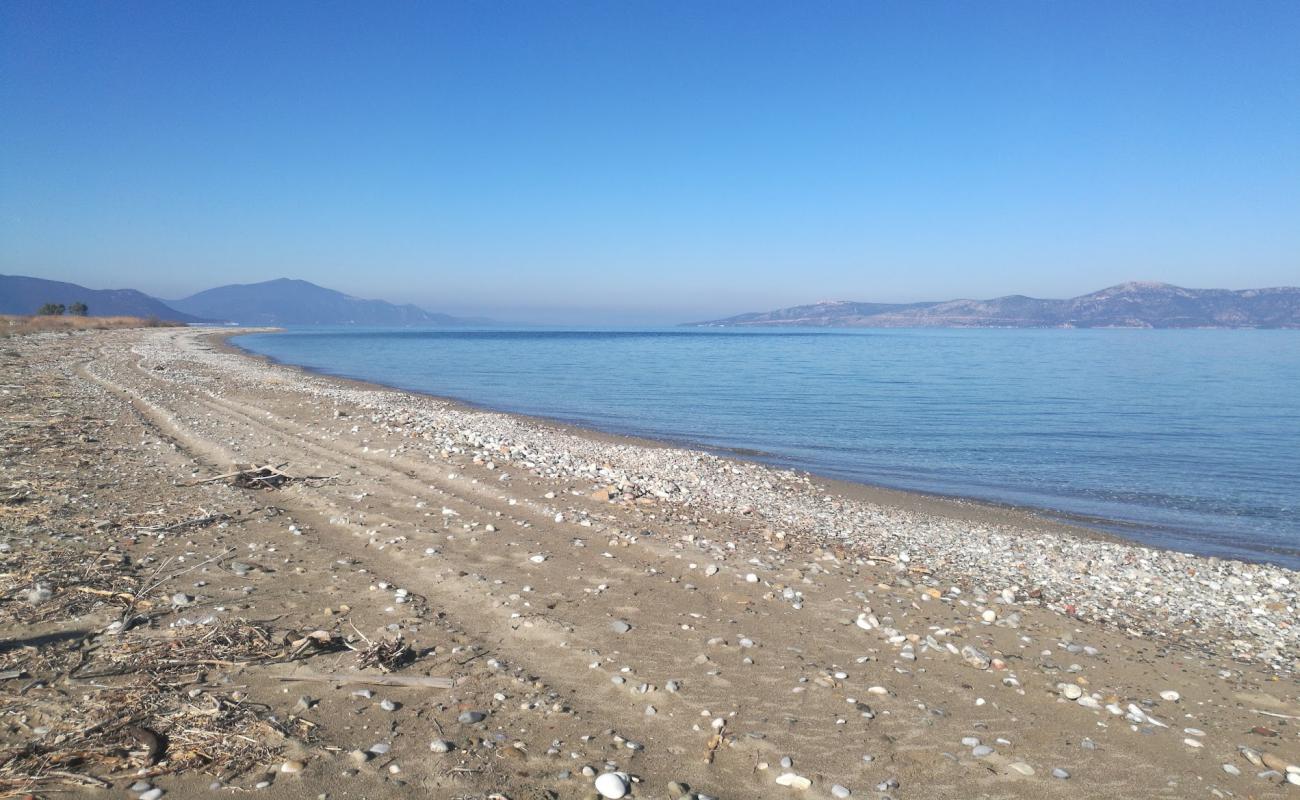 Photo de Saint Helen beach avec sable gris avec caillou de surface