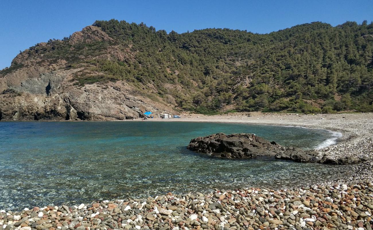 Photo de Daphnopotamos beach avec caillou fin gris de surface