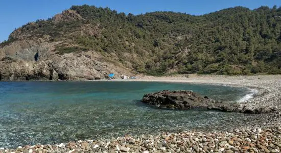 Daphnopotamos beach