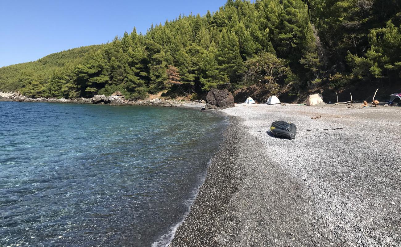 Photo de Karbouna beach avec caillou fin gris de surface