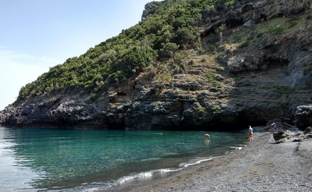 Photo de Mills Beach avec caillou fin gris de surface