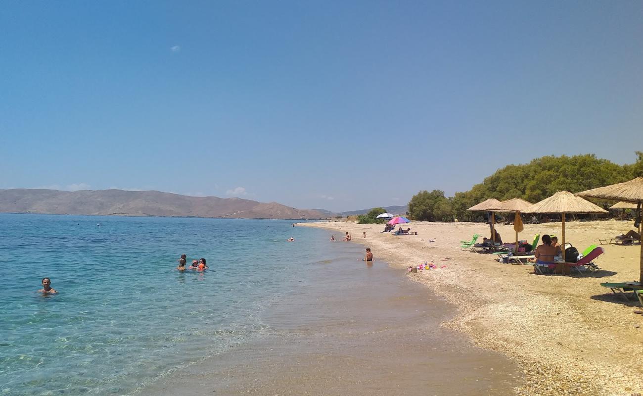 Photo de Marmara beach avec sable beige de surface