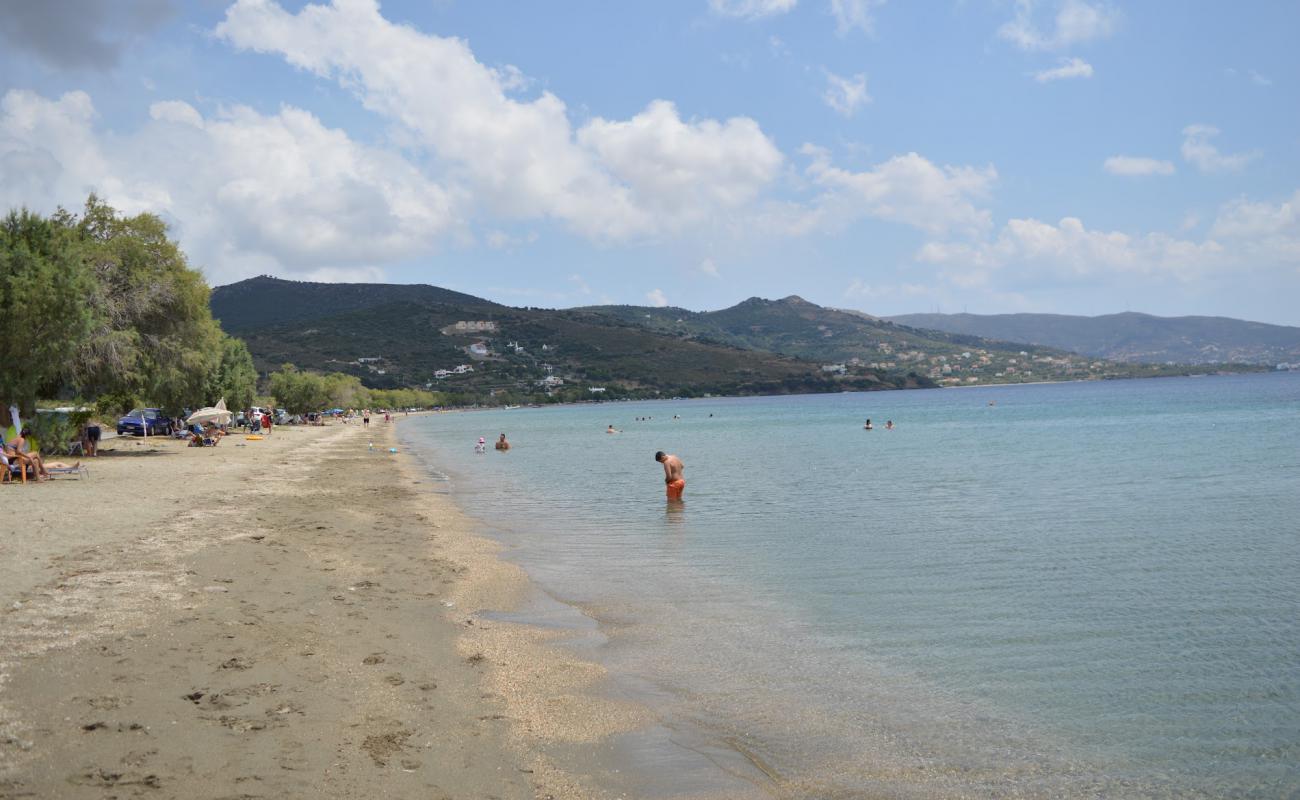 Photo de Livadaki beach avec sable beige de surface