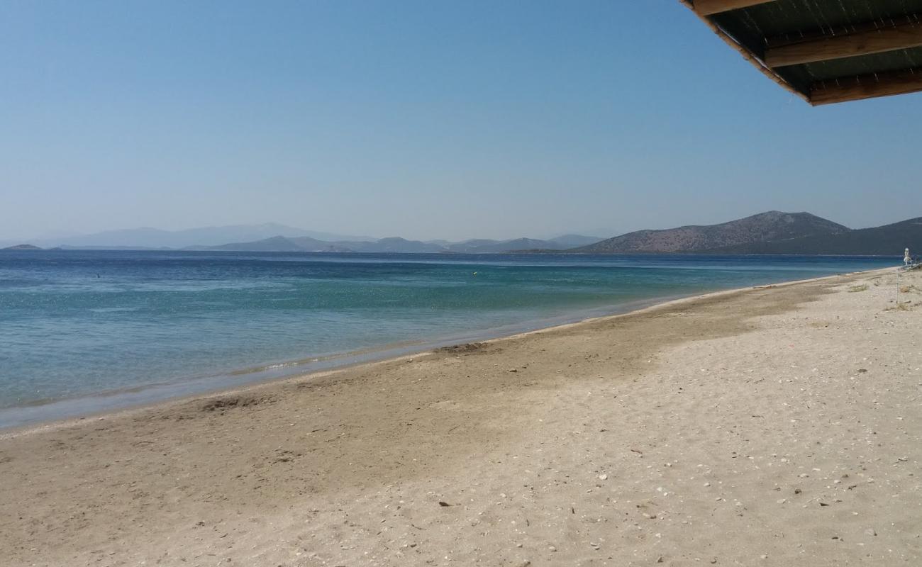 Photo de Delissos beach avec sable brun de surface