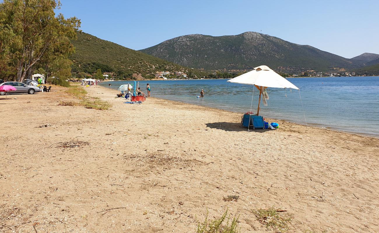 Photo de Almyropotamos beach avec sable noir avec caillou de surface