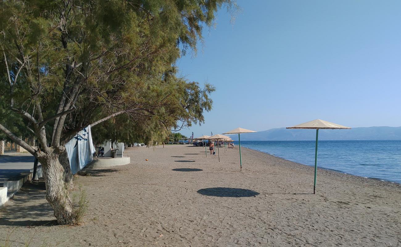 Photo de Amarynthos beach avec sable gris & galets de surface