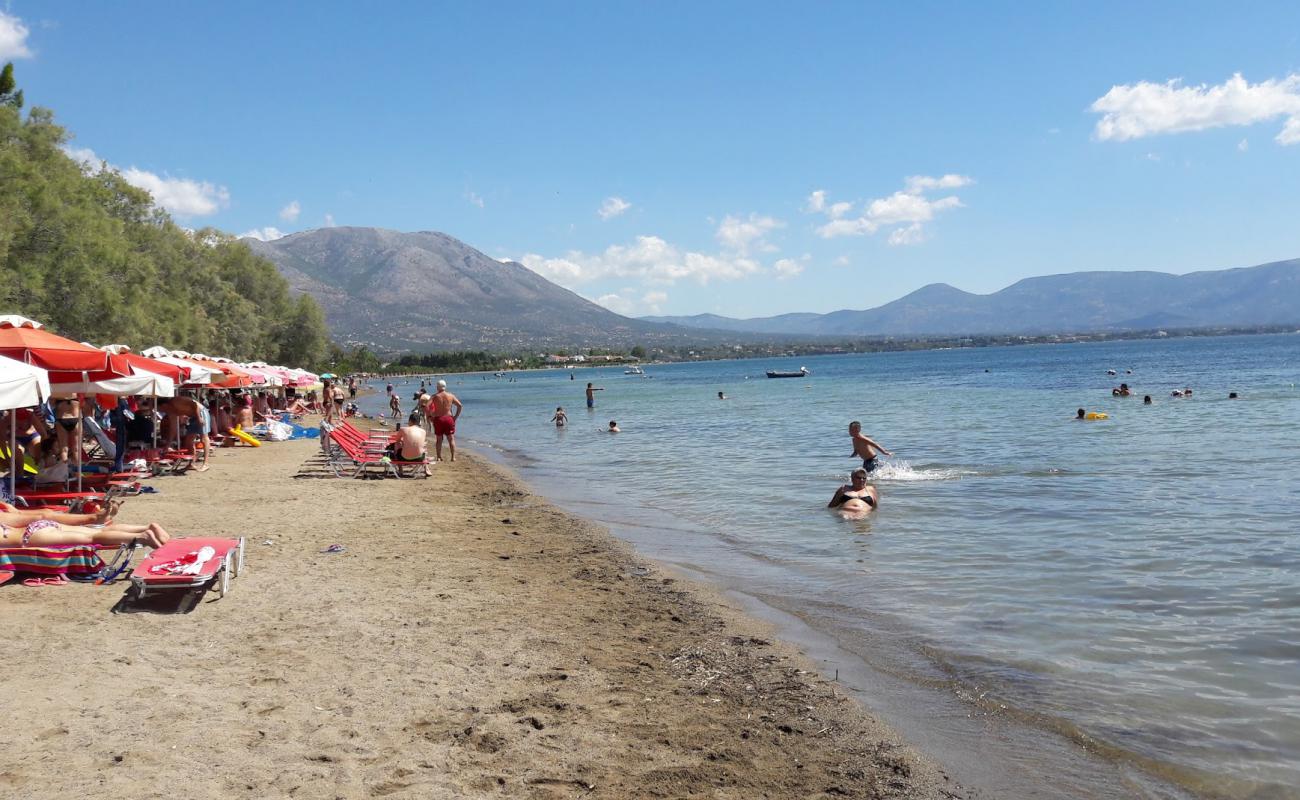 Photo de Eviana beach avec sable gris avec caillou de surface