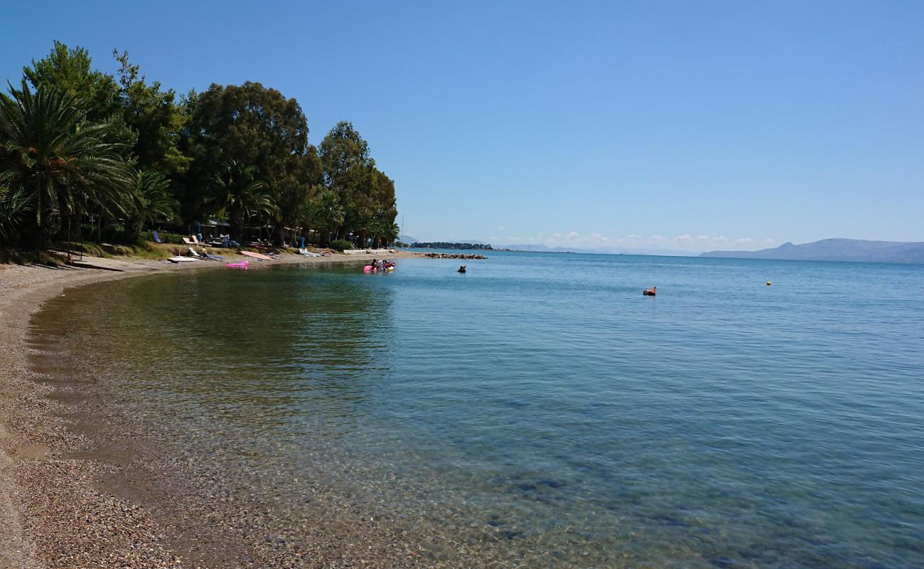 Photo de Milos camping beach avec sable gris avec caillou de surface