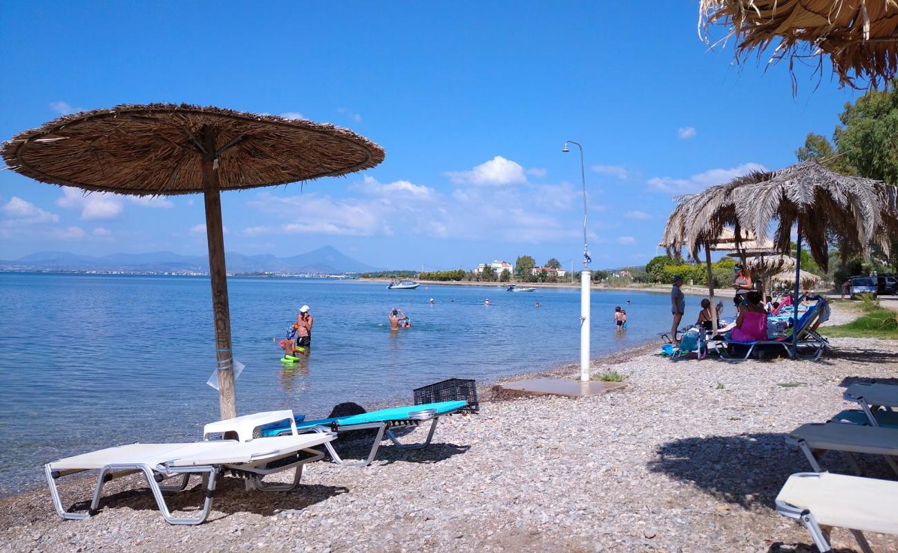 Photo de Agios Andreas beach avec sable gris avec caillou de surface