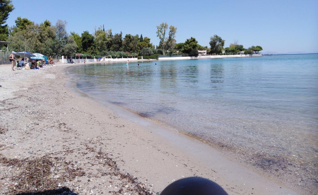 Photo de Viles beach avec sable noir avec caillou de surface