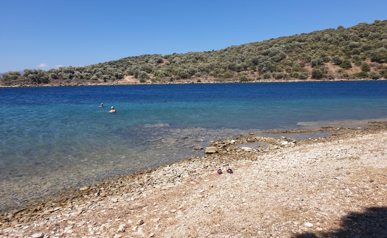 Photo de Mpoufalo beach avec sable brun avec roches de surface