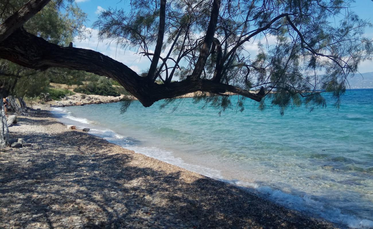 Photo de Pounda beach avec sable clair avec caillou de surface