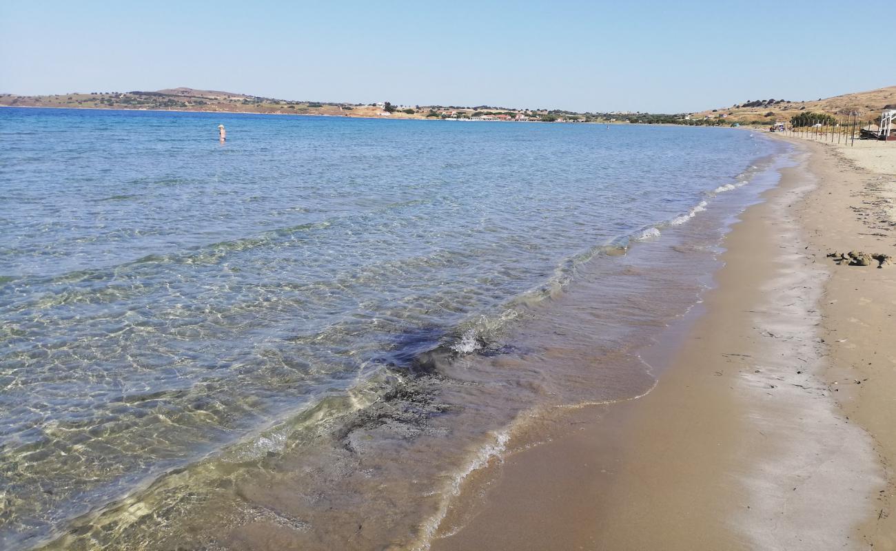 Photo de Kotsinas beach avec sable fin et lumineux de surface