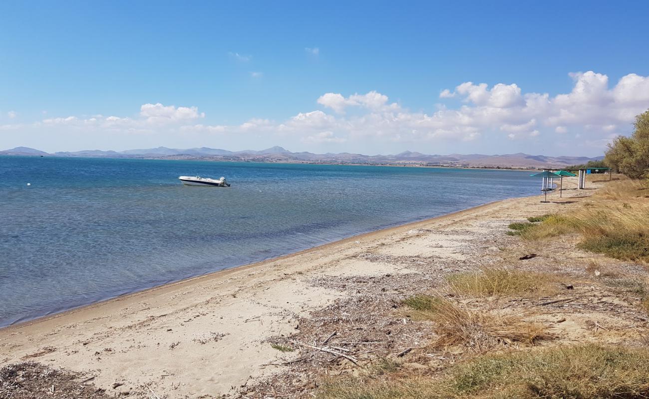 Photo de Paralia Lichnon avec sable lumineux de surface