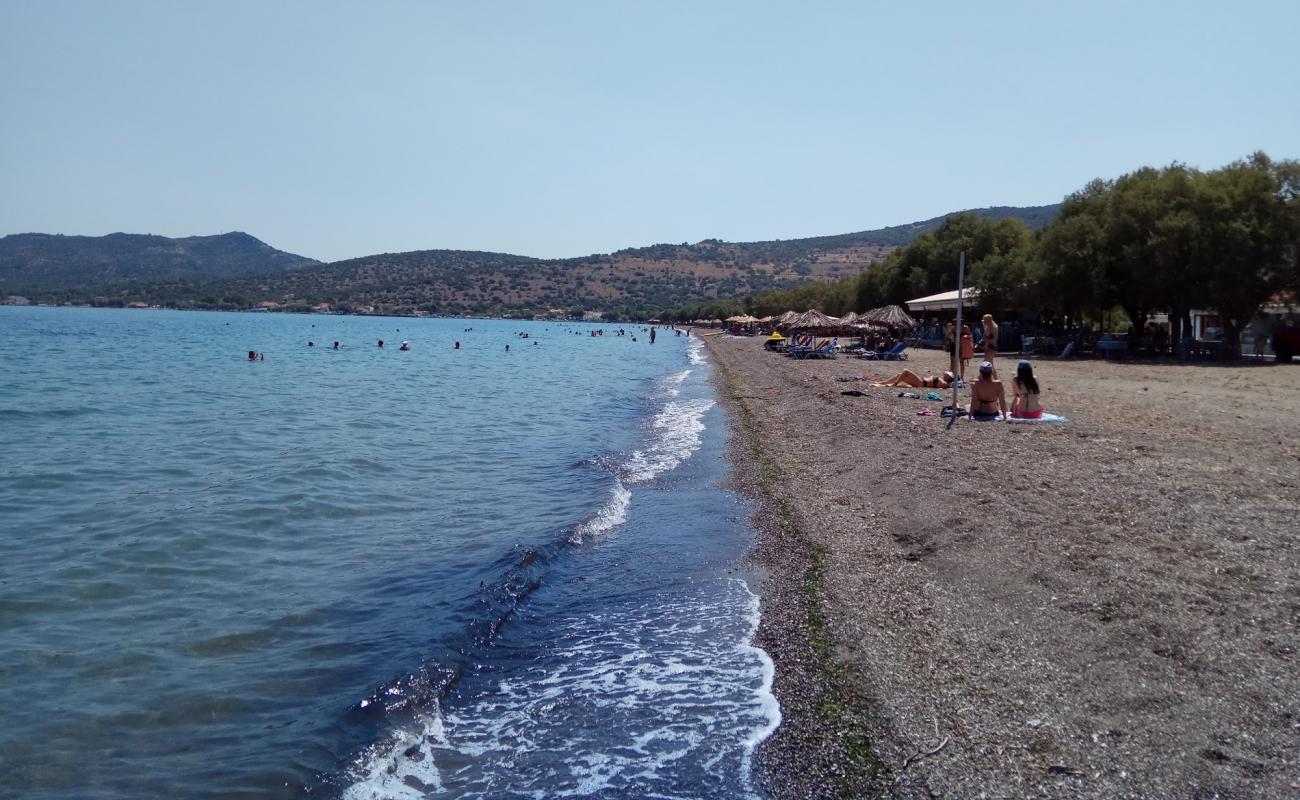 Photo de Nyphida beach avec caillou clair de surface