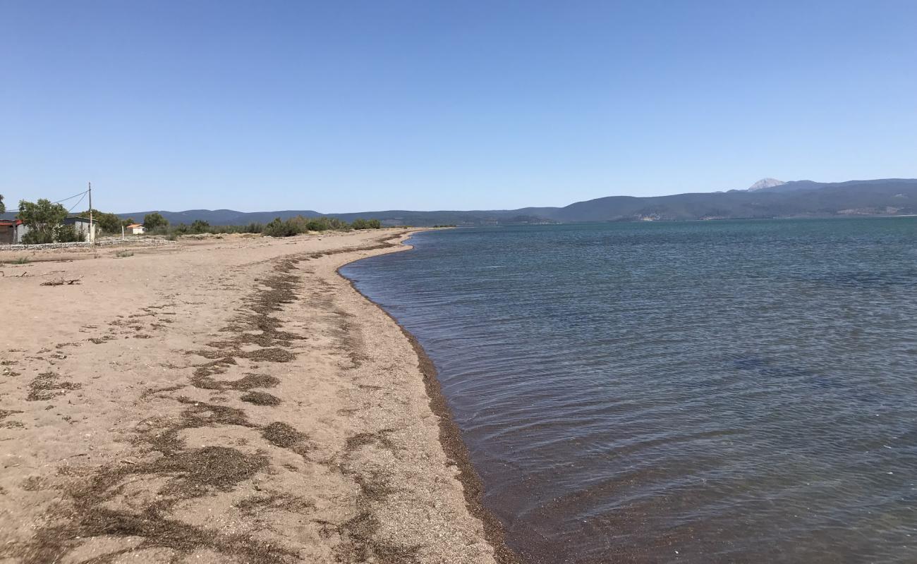 Photo de Kalloni beach avec sable brun de surface