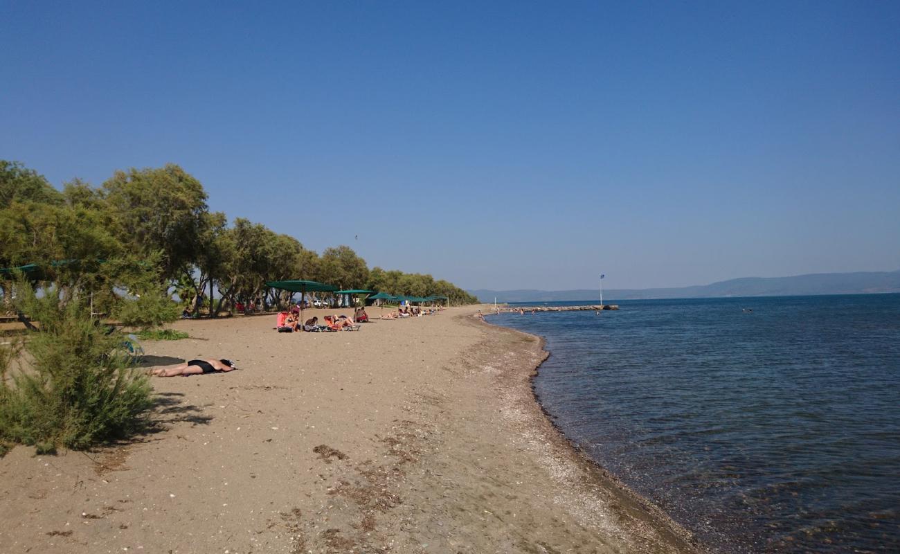 Photo de Kalloni beach II avec sable lumineux de surface