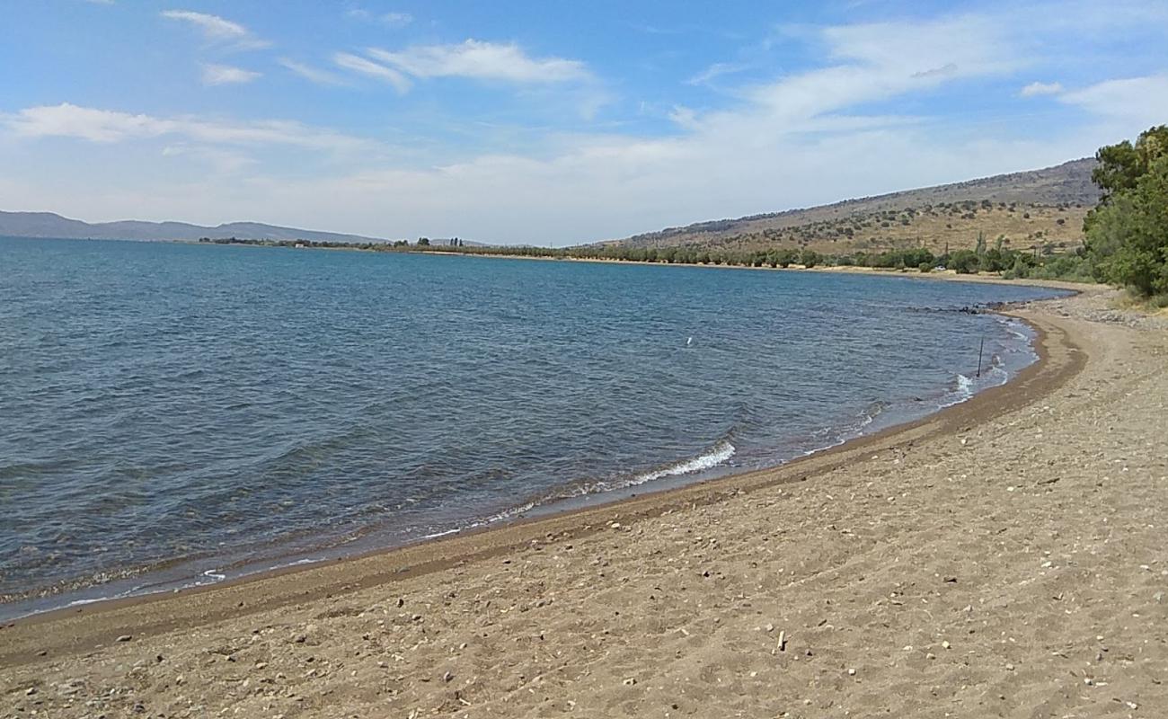 Photo de Parakila beach avec sable brun de surface