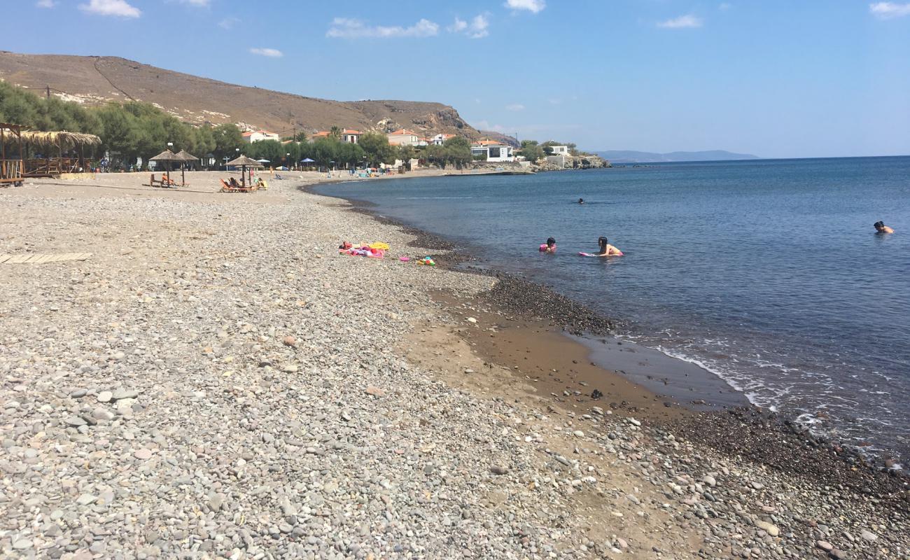 Photo de Paralia Tavari avec sable lumineux de surface