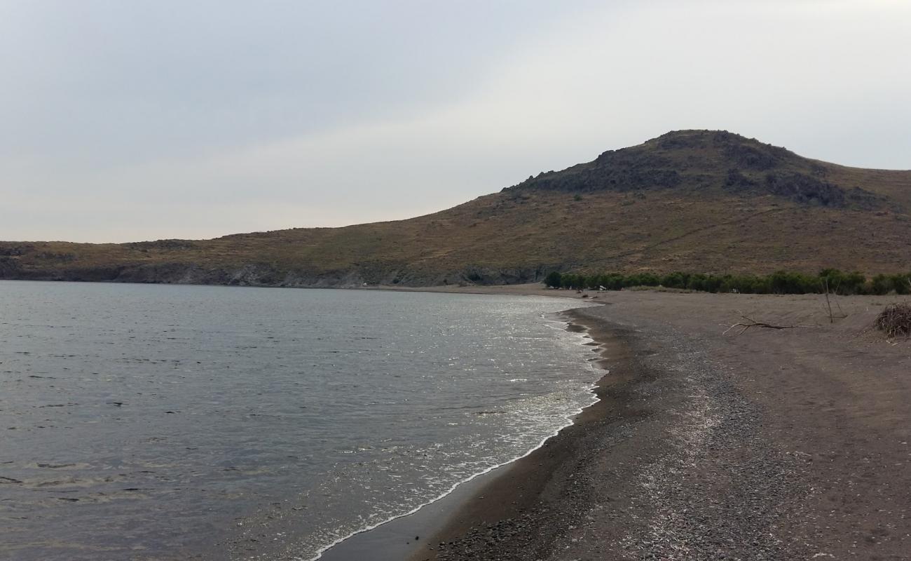 Photo de Paralia Chrousos avec sable brun de surface