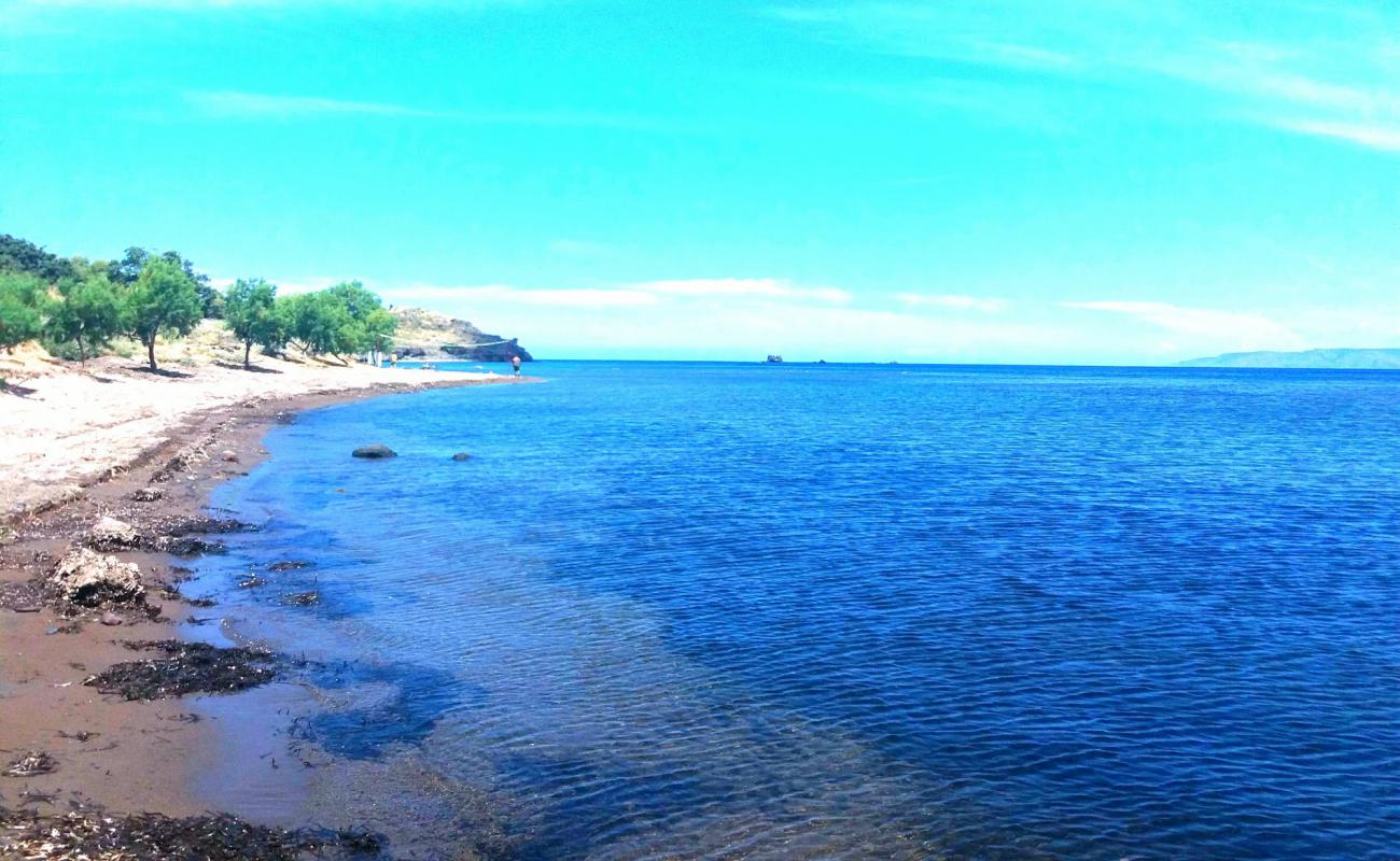 Photo de Agia Varvara beach avec sable brillant et rochers de surface