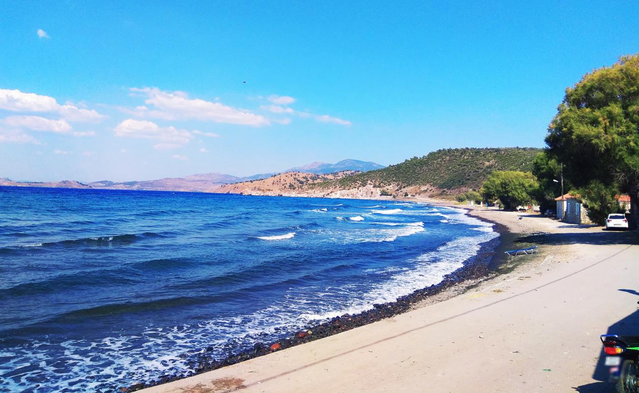 Photo de Paralia Tsichranta avec caillou clair de surface