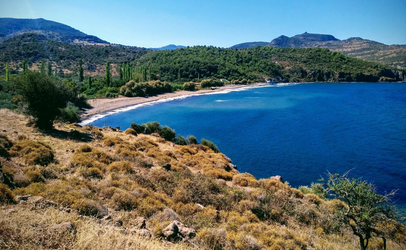 Photo de Paralia Ampelia avec sable brillant et rochers de surface