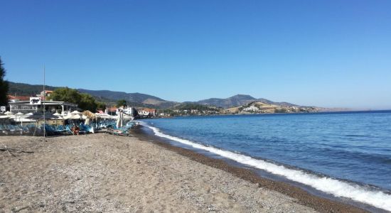 Plage de Petra