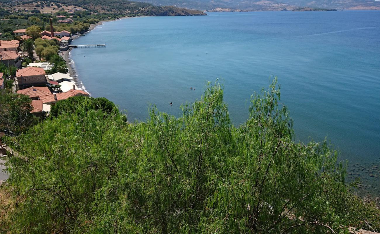 Photo de Plage de Delfinia avec sable clair avec caillou de surface