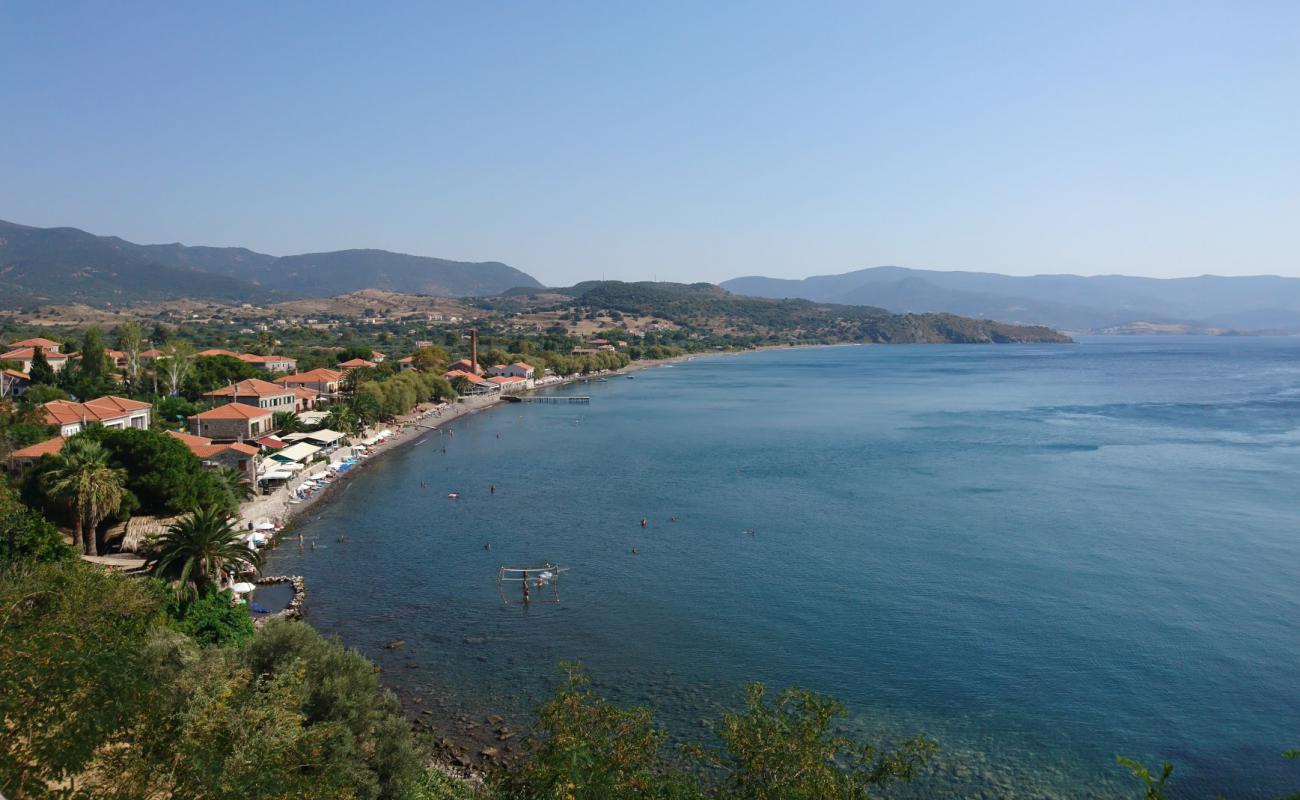 Photo de Delfinia beach II avec caillou fin clair de surface