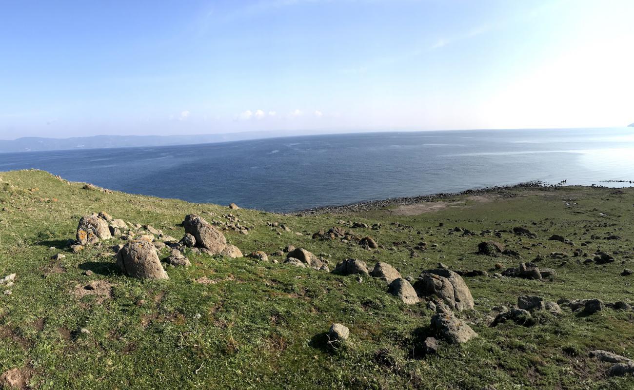 Photo de Lighthouse beach avec roches de surface