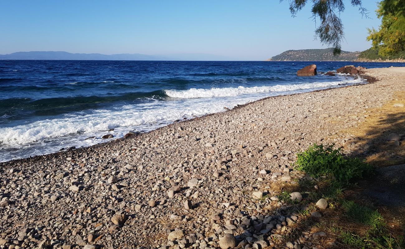 Photo de Skala Sikamineas avec terrain rocheux de surface