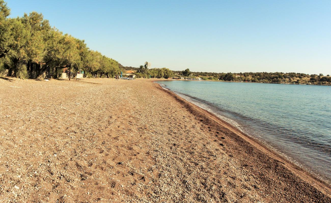 Photo de Paralia Tsonia avec sable noir & galets de surface