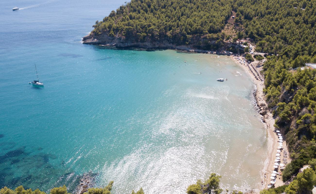 Photo de Paralia Chrisi Milia avec sable lumineux de surface