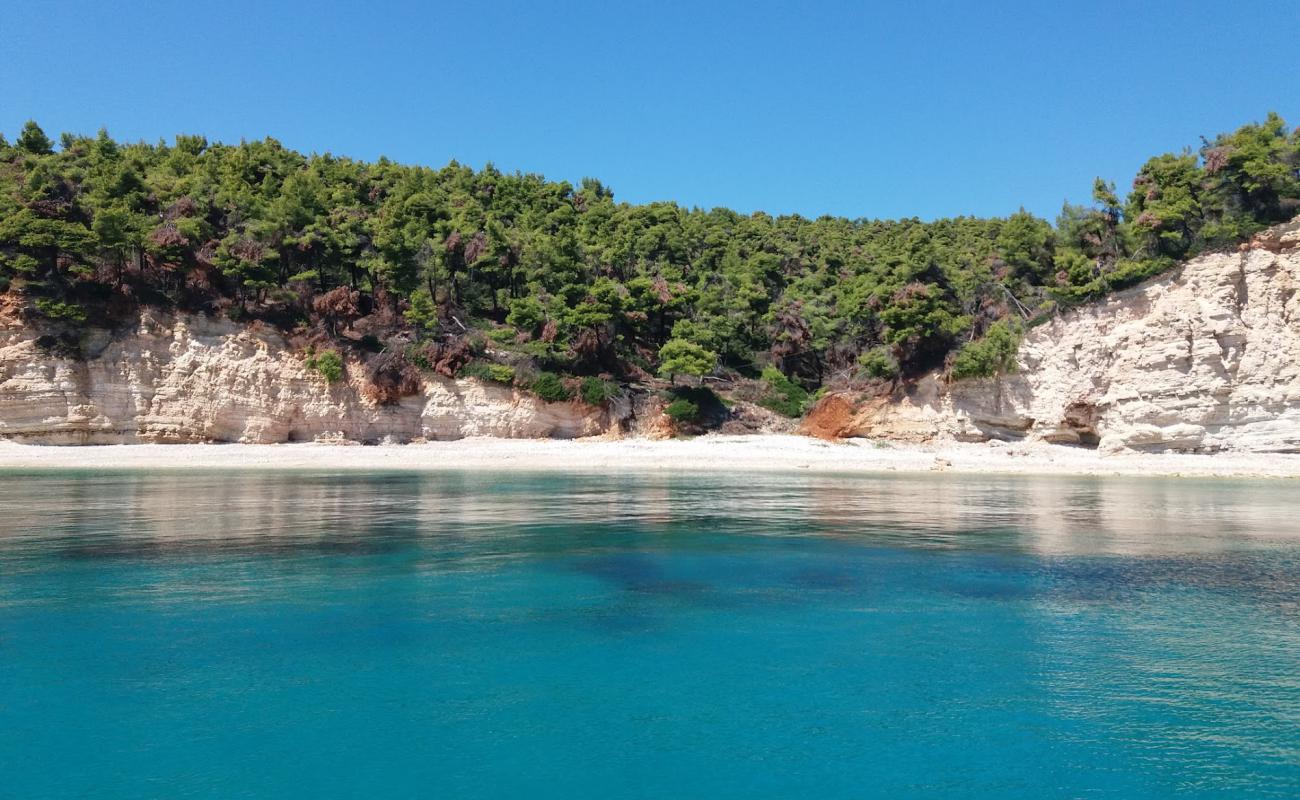 Photo de Spartines beach II avec caillou gris de surface