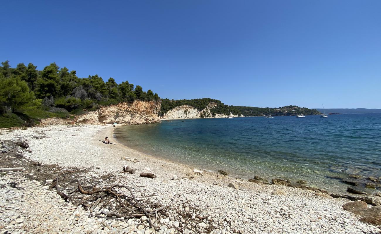 Photo de Spartines beach avec caillou gris de surface