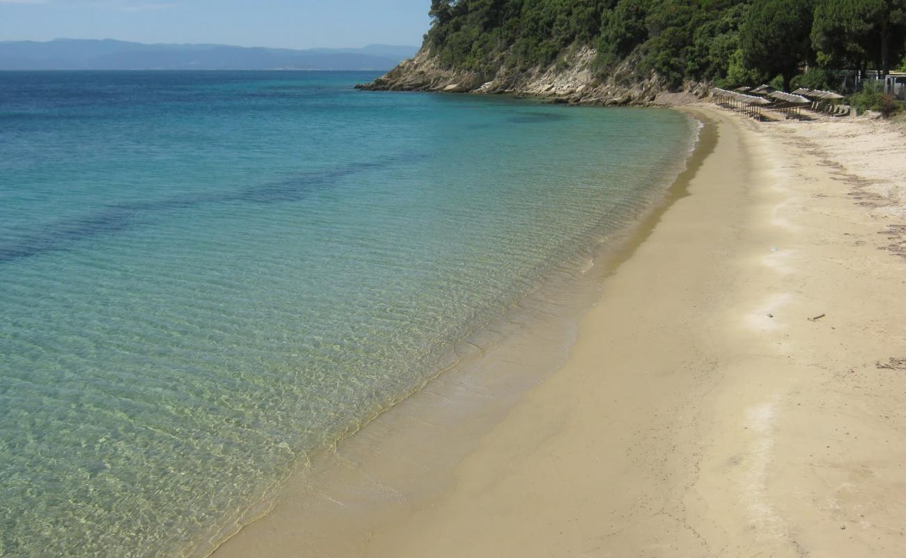 Photo de Xenia beach avec sable gris de surface